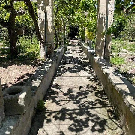 Casa Papadia